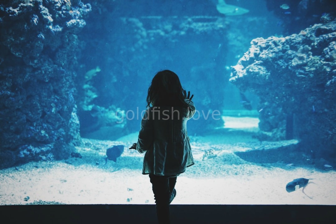 Reel 2