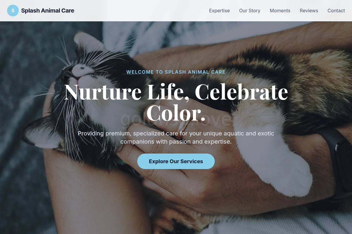 Splash Animal Care