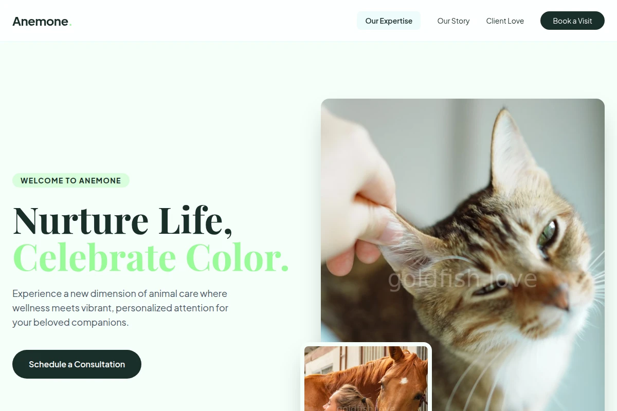 Anemone Animal Care