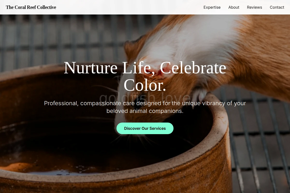 Kelp Animal Care