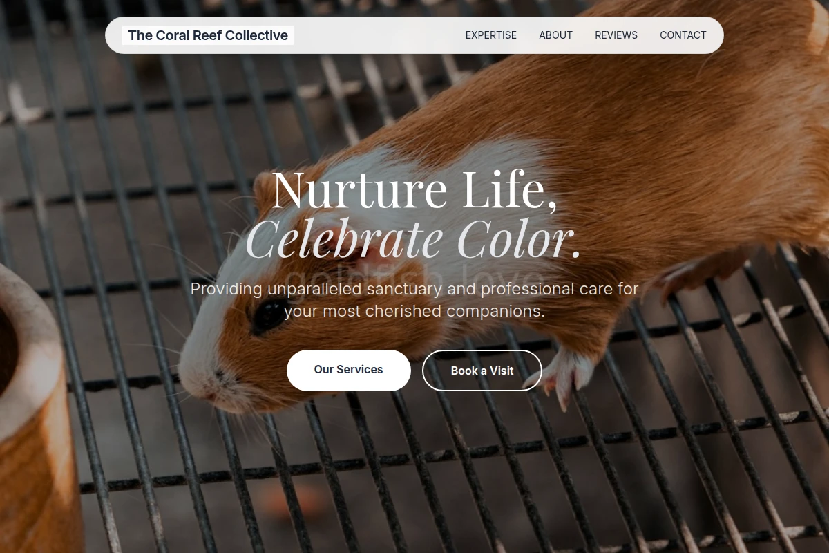 animal-care