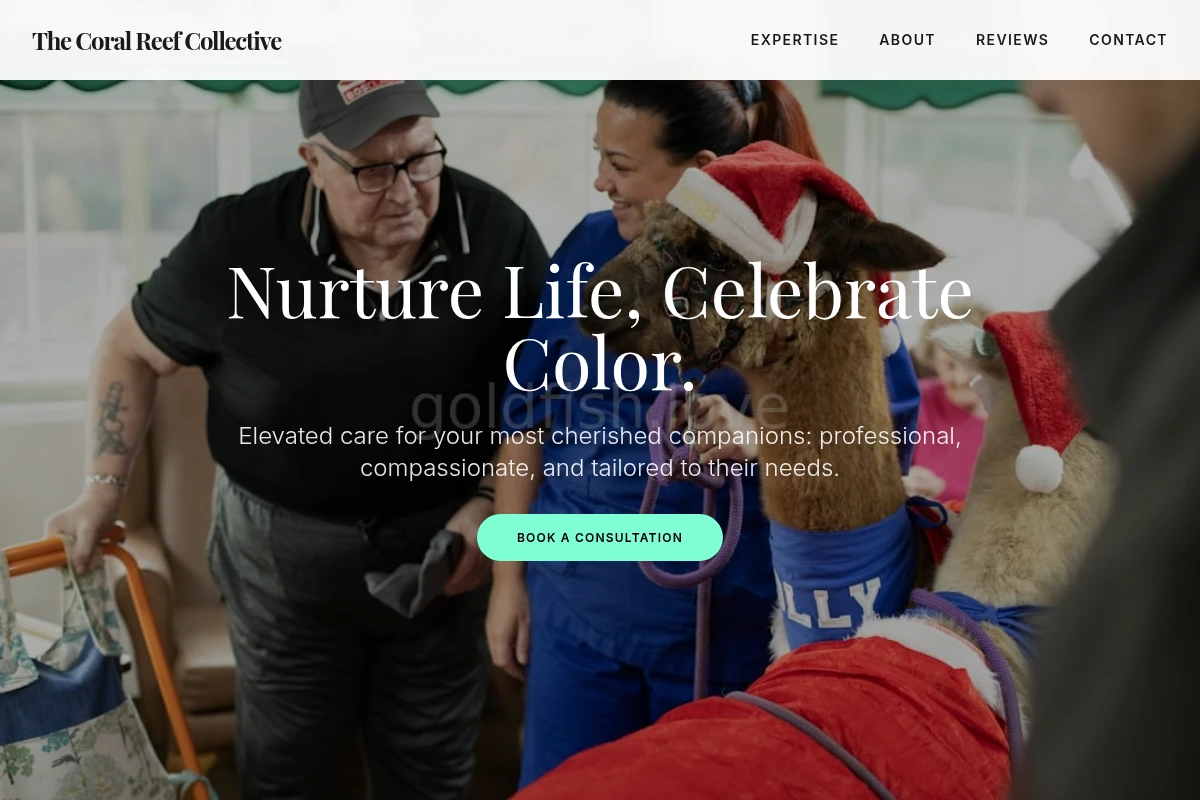 Tide Animal Care