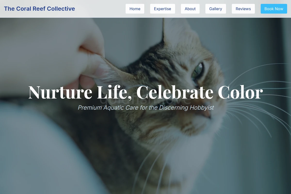Fin Animal Care