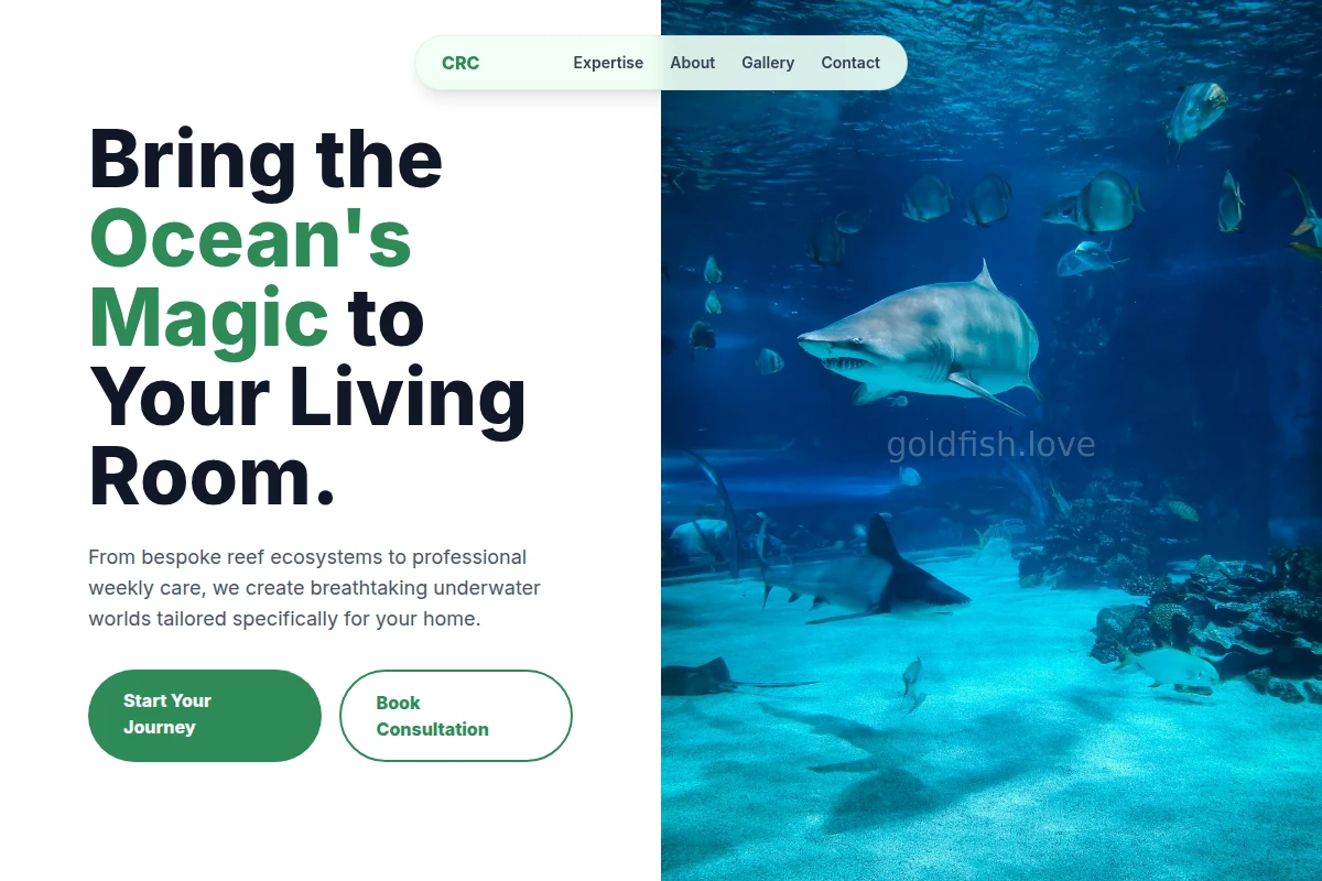 Splash Aquarium