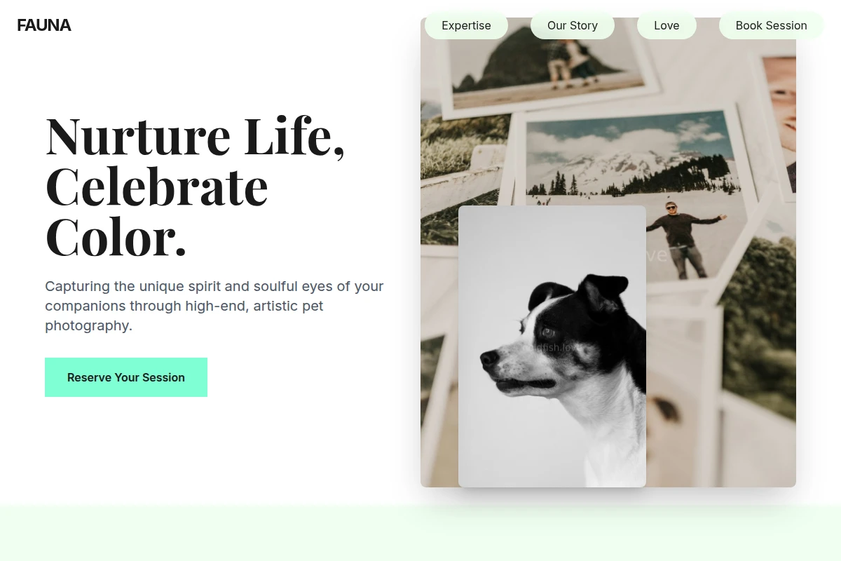Fauna Pet Photography