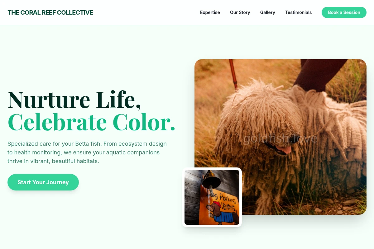 Betta Pet Services