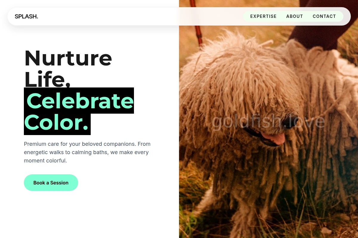 Splash Pet Services