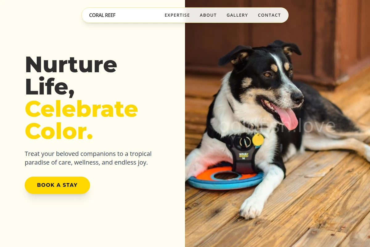 Tropical Pet Services